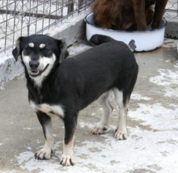 Klein Yaya ist aufgeschlossen und lieb