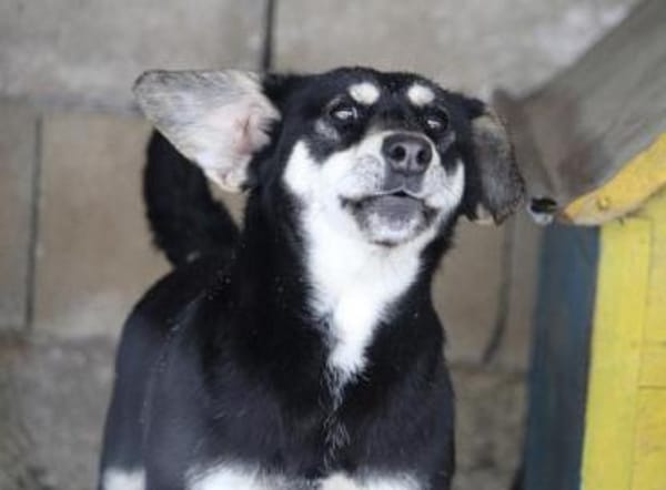 Klein Yaya ist aufgeschlossen und lieb