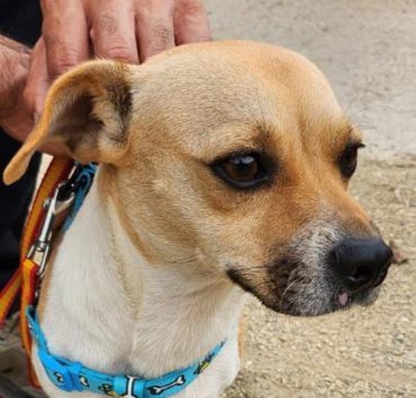 Leo, freundlich, neugierig, offen