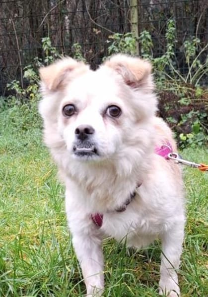 Püppi möchte dich kennenlernen..