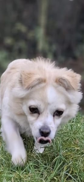 Püppi möchte dich kennenlernen..