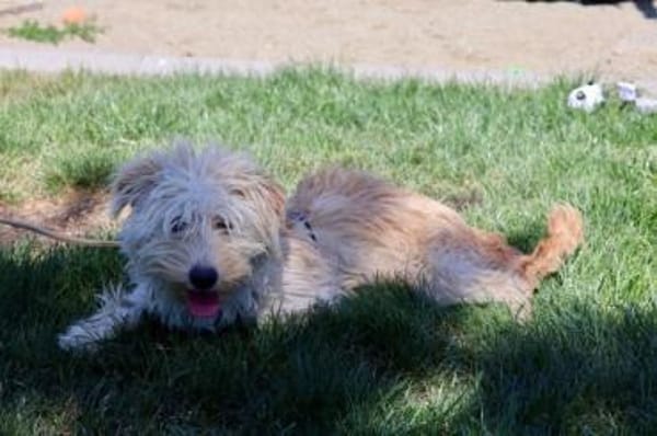 Freddie ist bereit für deine Abenteuer