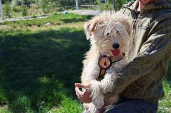 Freddie ist bereit für deine Abenteuer