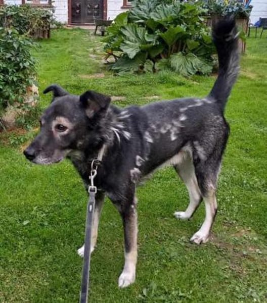 Marlo sucht SEINE MENSCHEN