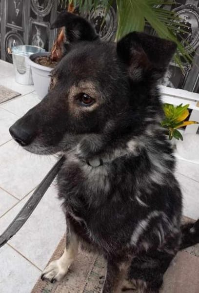 Marlo sucht SEINE MENSCHEN