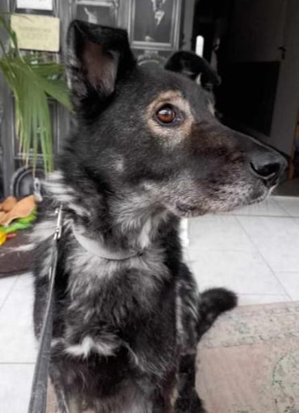 Marlo sucht SEINE MENSCHEN