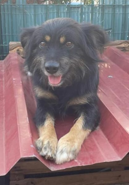 MIMO ❤ sozial, brav, wunderbar!