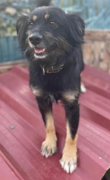 MIMO ❤ sozial, brav, wunderbar!