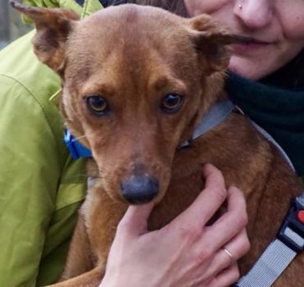 Ilia Topuria,kinderlieb,neugierig,offen