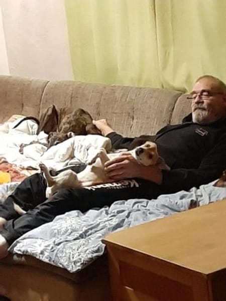 Süßer Chupa sucht ein Zuhause