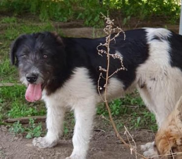 Oskar will die Welt entdecken