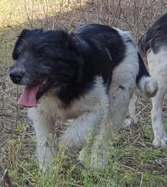 Oskar will die Welt entdecken