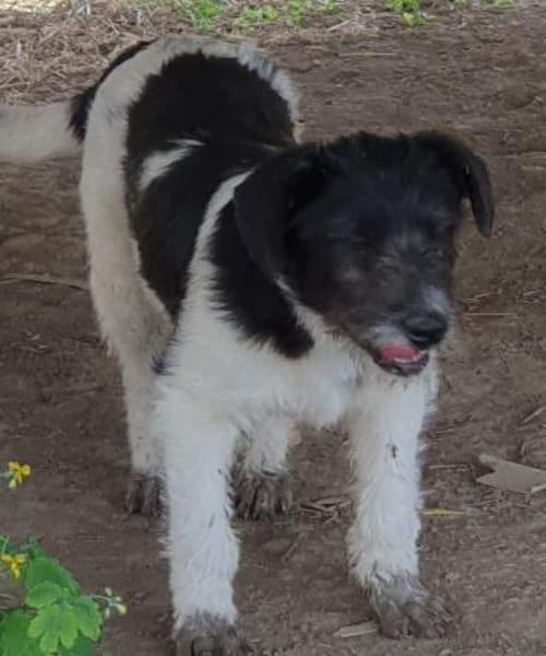 Oskar will die Welt entdecken