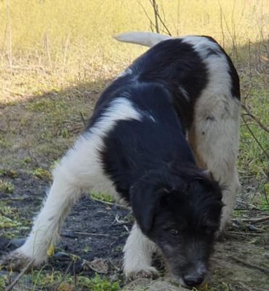 Oskar will die Welt entdecken