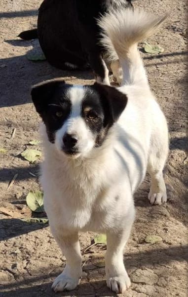 Flo sucht besondere Menschen