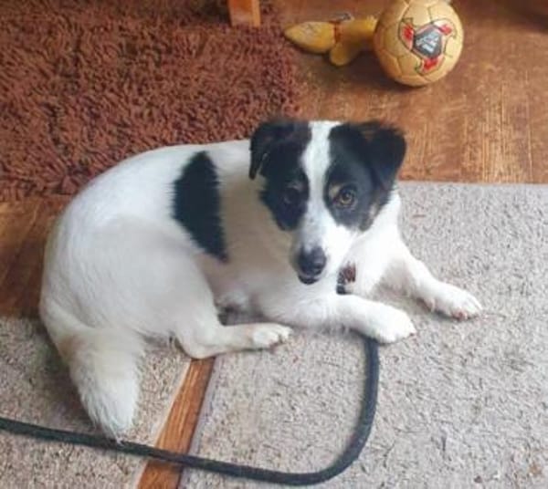 Flo sucht besondere Menschen