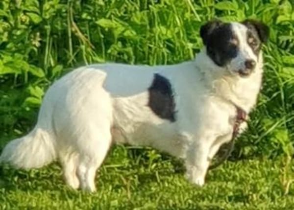 Flo sucht besondere Menschen