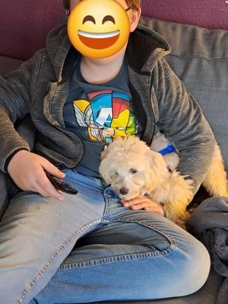 Emmy, Pudelmädchen mit Handicap