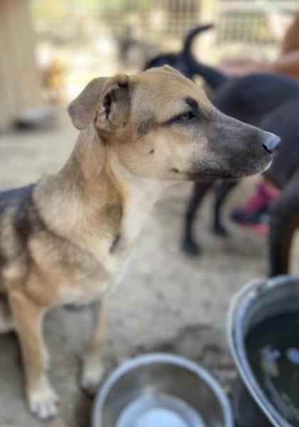 Hier kommt der süße Kalle 🐾