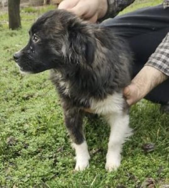 Eve 30 cm (Pflegestelle)