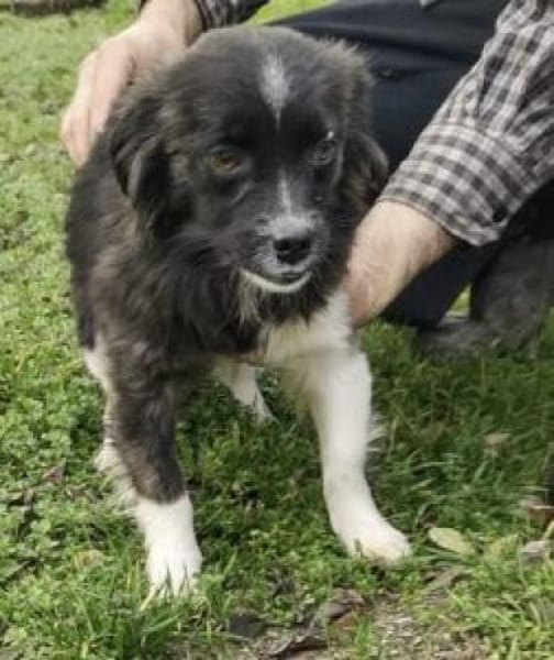 Eve 30 cm (Pflegestelle)