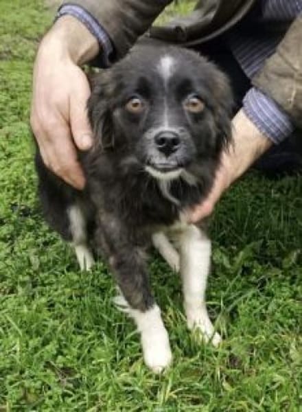 Eve 30 cm (Pflegestelle)