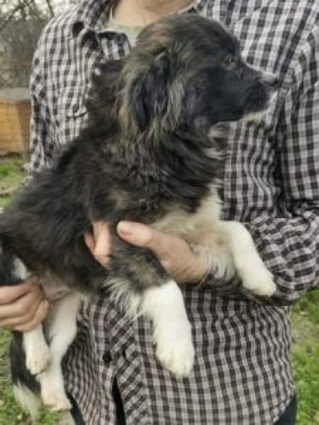 Eve 30 cm (Pflegestelle)