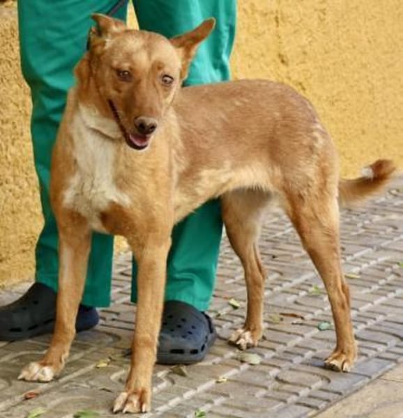 Coral, menschenbezogen, loyal, offen