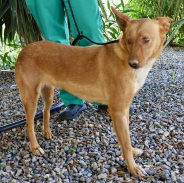 Coral, menschenbezogen, loyal, offen