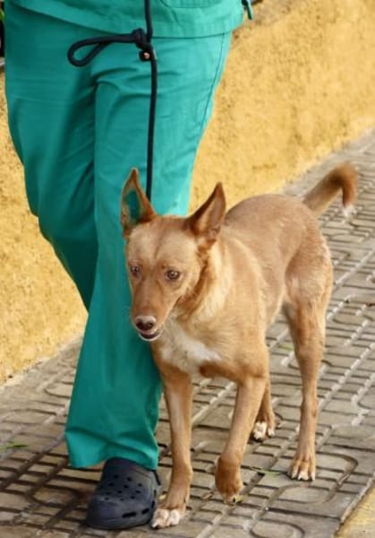 Coral, menschenbezogen, loyal, offen