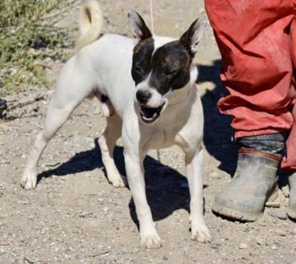 Mark, respektvoll, freundlich, offen