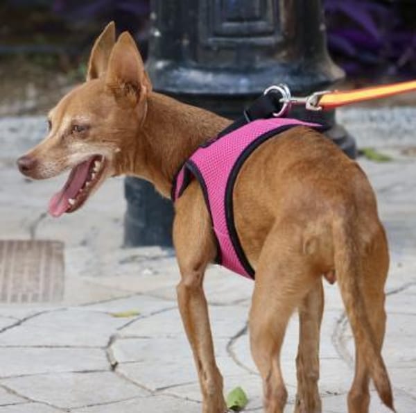 Flor, neugierig, offen, freundlich