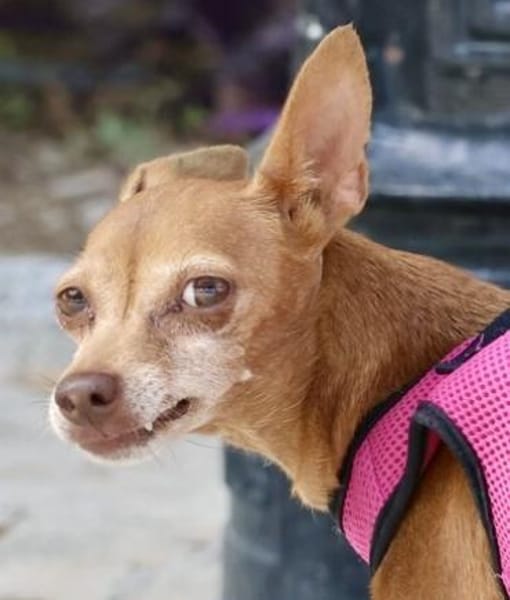 Flor, neugierig, offen, freundlich