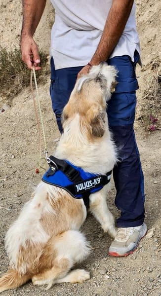 Gala, freundlich, offen, aufmerksam