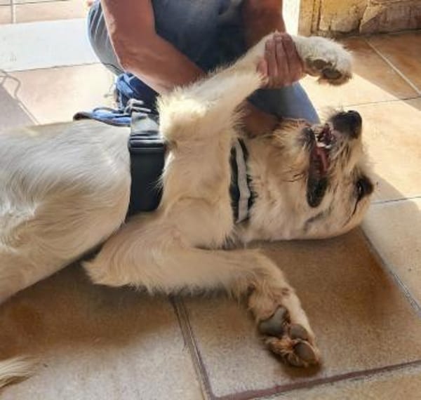 Gala, freundlich, offen, aufmerksam