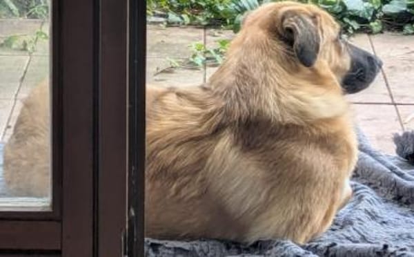 Fiona ist bereit für ein Leben mit dir