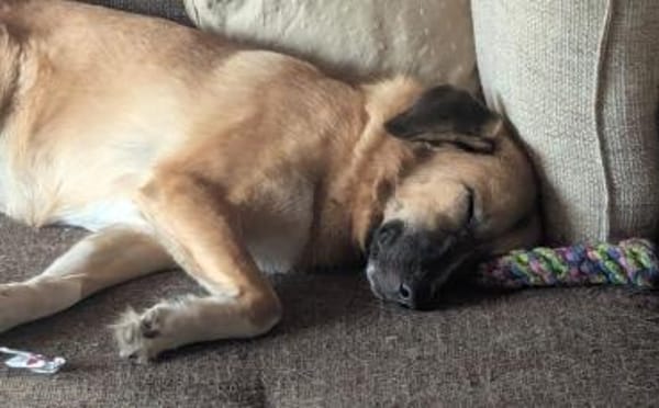 Fiona ist bereit für ein Leben mit dir