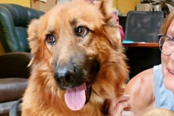 Sudan, lernfreudig, offen, freundlich