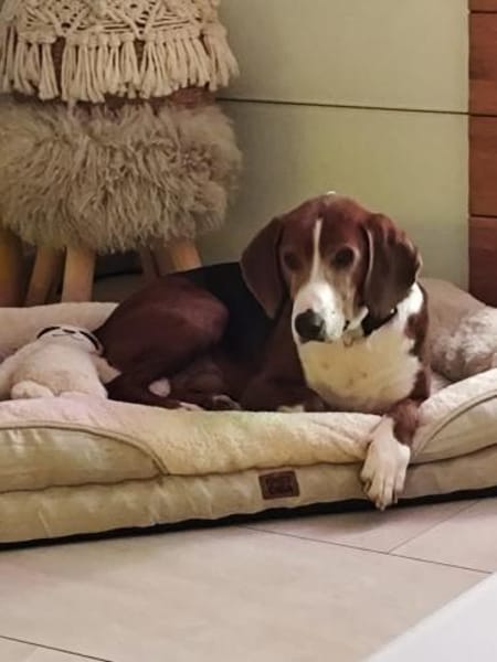 Eliosucht seine Menschen🍀