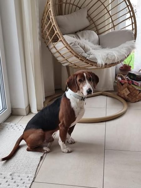 Eliosucht seine Menschen🍀