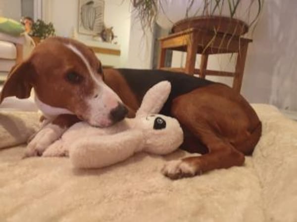 Eliosucht seine Menschen🍀