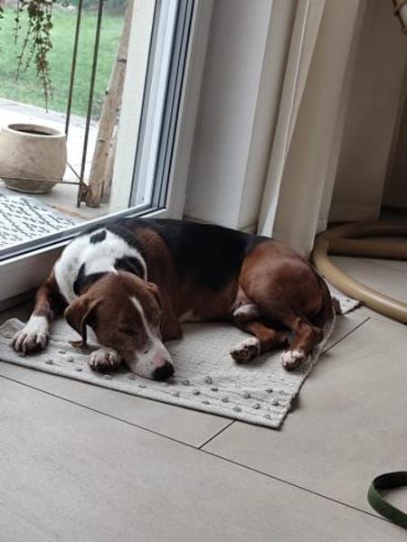 Eliosucht seine Menschen🍀