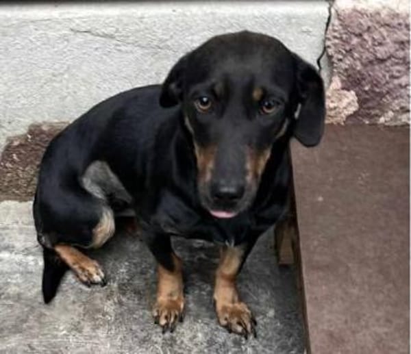 Candy° in 41472 Neuss