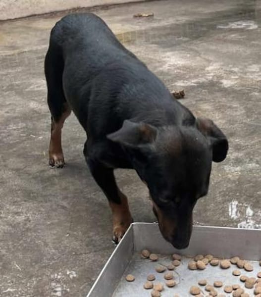 Candy° in 41472 Neuss