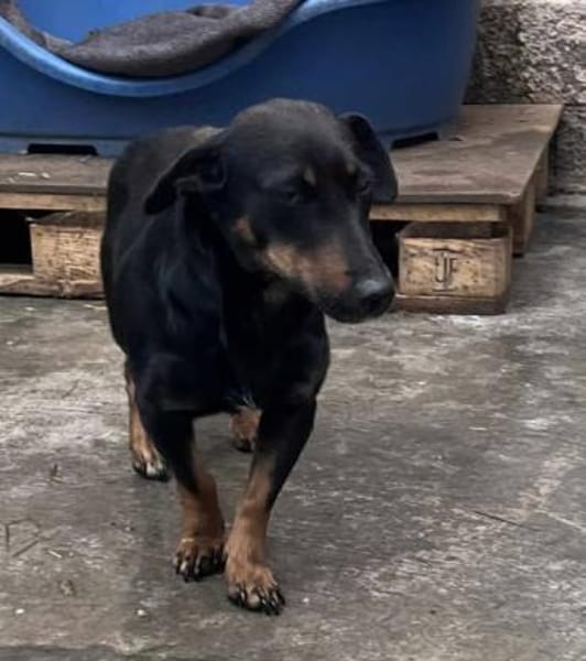 Candy° in 41472 Neuss