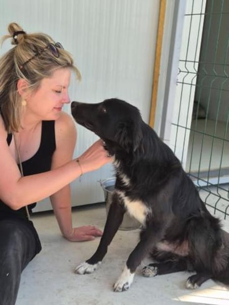 Lieber WOODY in 20257 HAMBURG