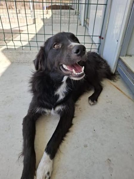 Lieber WOODY in 20257 HAMBURG