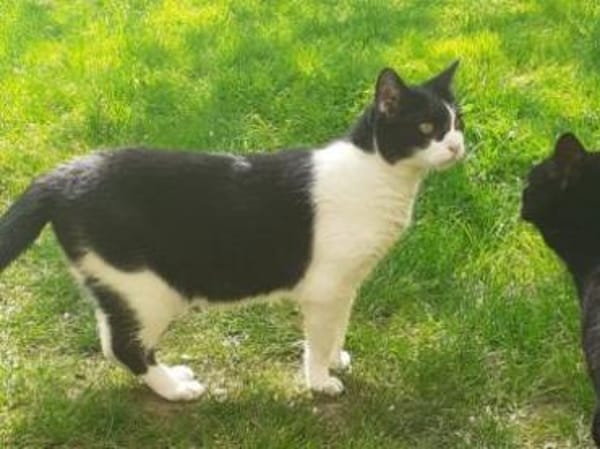 Cielo: Kuschelbär, Einzelprinz, Freigang