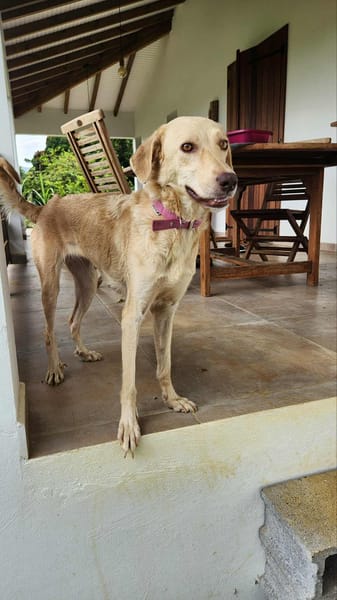 Suzie la douce louloute