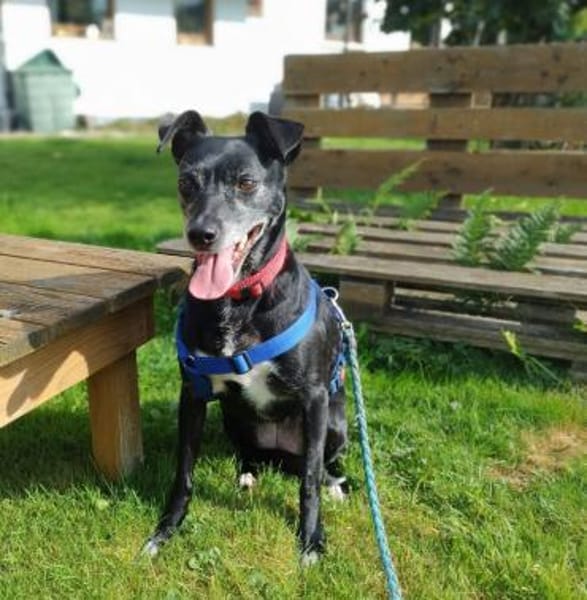 Bella8 sucht ein Zuhause